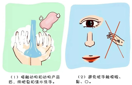 2.jpg