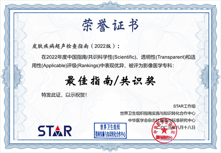 最佳指南共识奖-中华超声.png